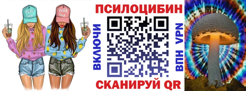 blacksprut как войти  Ужур  Псилоцибиновые грибы MAGIC MUSHROOMS 